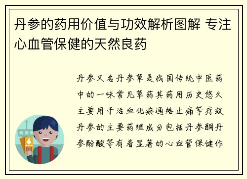 丹参的药用价值与功效解析图解 专注心血管保健的天然良药